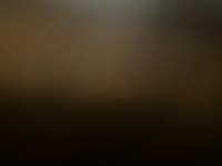 해송축산도소매센터 중마4호점