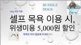 버블독스 서충주점