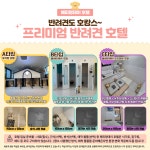 해피멍데이 애견호텔 강아지호텔