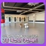 해피멍데이 애견호텔 강아지호텔