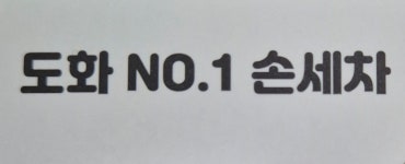 도화 넘버원 손세차