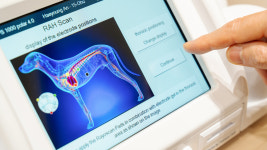 서울알레르기동물병원