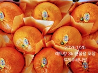 제주 써니팜