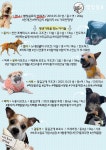 별빛쉼표 애견카페 & 애견유치원 & 애견호텔