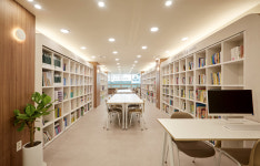 책나무 분당정자늘푸른점