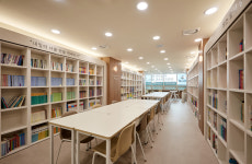 책나무 분당정자늘푸른점