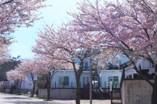 풀잎사랑펜션