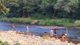 김삿갓면강건너펜션