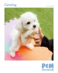 P&M 반려견교육센터 대전점