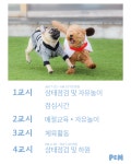 P&M 반려견교육센터 대전점
