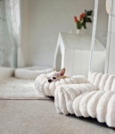 쪼꼬의 하루 그루밍샵