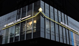 위례S동물의료센터