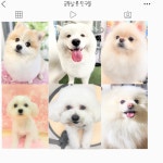 금동살롱