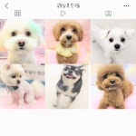 금동살롱