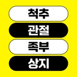 왜관마디척의원