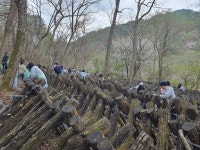 솔바우영농조합법인