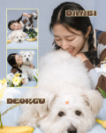 온림스튜디오