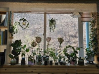 나무랑캘리랑 평생교육원