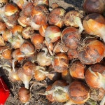 삼도유통영농조합법인