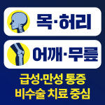 수지구청역서울탑본의원