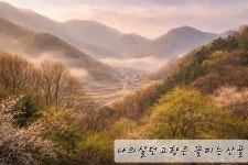월악산꽃피는산골