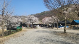 물꽃캠핑장