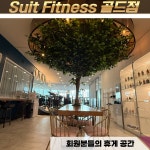 수트피트니스골드