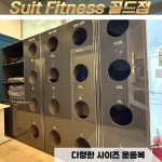 수트피트니스골드