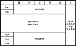 크로스핏 긱스