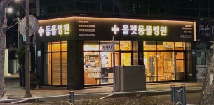 올펫동물병원