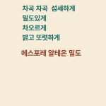 S포레