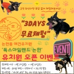 독스아일랜드 논현