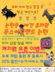 독스아일랜드 논현