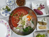 삼연물회