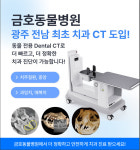 금호동물병원