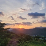 스테이더문