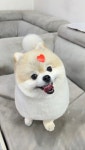 멍품 유치원
