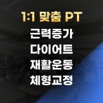 사람휘트니스 올레시장8호점