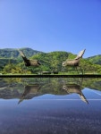 오세르키즈앤패밀리풀빌라