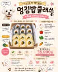 댕댕이펫푸드클래쓰