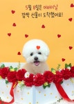 멍품 유치원&미용실