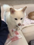 멍s스테이