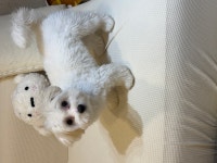 멍s스테이