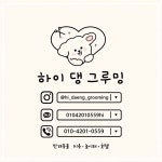 하이 댕 그루밍