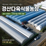 경산다육식물농장