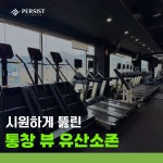 퍼시스트피트니스 보라점