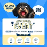 어느날 스파펜션