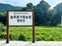 늘 푸른 사랑농원
