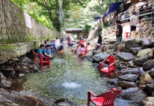 돌집산장