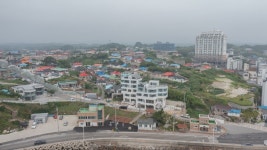 당신의안목그라스